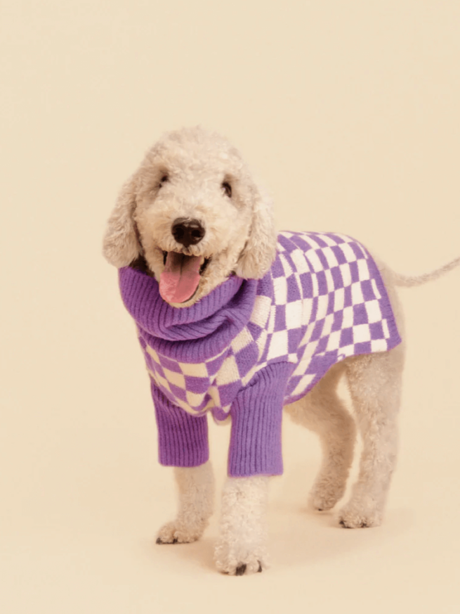 Meet the Parents X Wray Sweater